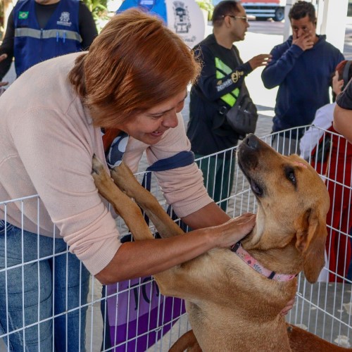 Barra do Piraí: Campanha “Me Leva Pra Casa” realiza última edição de 2025 nesta quarta-feira